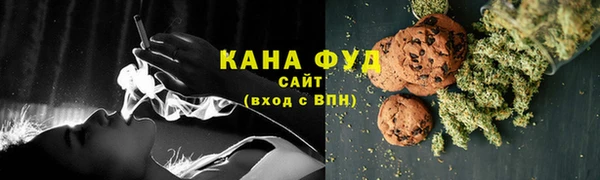 стафф Гусев