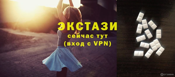 стафф Гусев