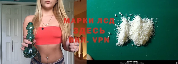 стафф Гусев