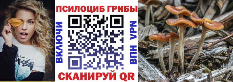 Галлюциногенные грибы мицелий  блэк спрут вход  Южно-Сахалинск 